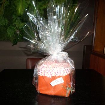 corbeille_et_16_lingettes