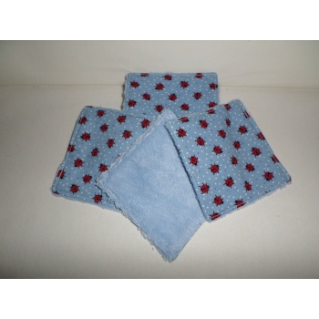 lingette_coccinelle_31823781